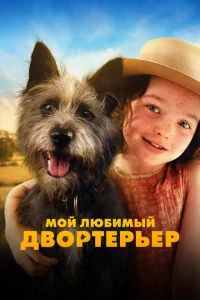 Мой любимый двортерьер Мой любимый двортерьер