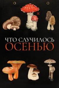 Что случилось осенью Что случилось осенью